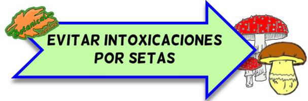 como prevenir intoxicacion por setas