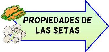 propiedades de las setas