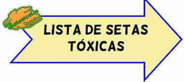 lista de setas toxicas