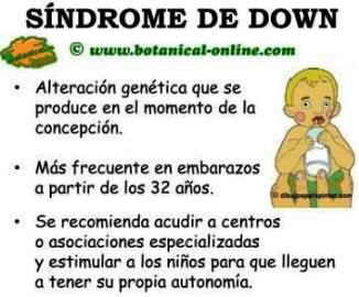 sindrome de down