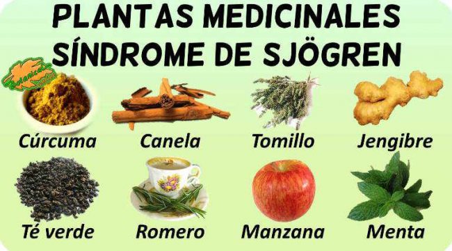 tratamiento natural y remedios caseros con plantas medicinales sindrome sjogren