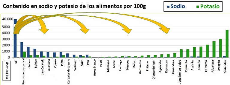 balance equilibrio sodio potasio dieta alimentos ricos