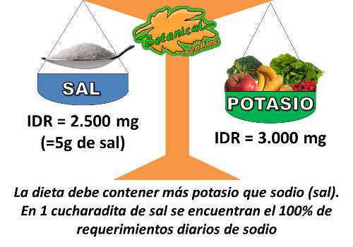 equilibrio sal potasio sodio