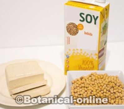 bebida de soja, soja en grano y tofu