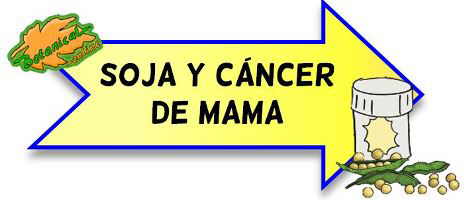 soja y cáncer de mama