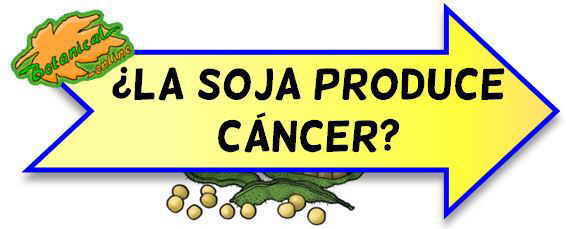 soja produce cancer