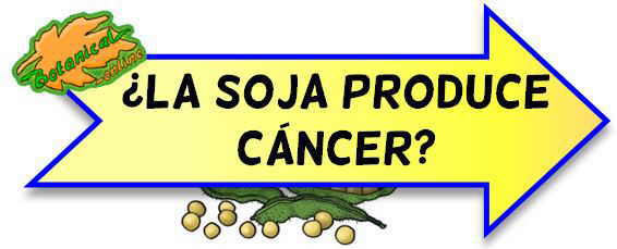 soja y cáncer de mama