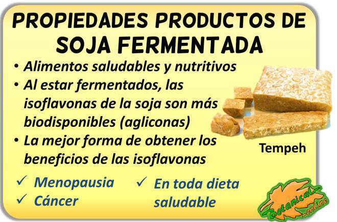 Propiedades medicinales de la soja fermentada por sus isoflavonas como el tempeh miso