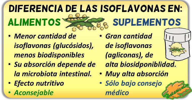 diferencias soja alimentos suplementos ricos en isoflavonas