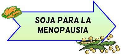 soja para la menopausia