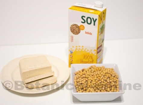 productos de soja: tofu bebida soja habas soja