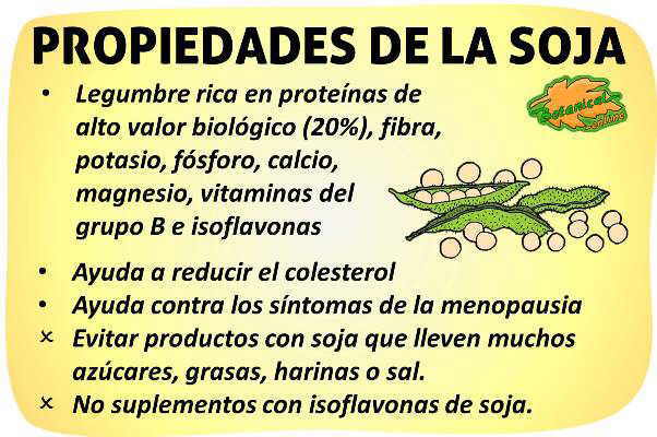 Soja: Propiedades, beneficios, mitos y valor nutricional