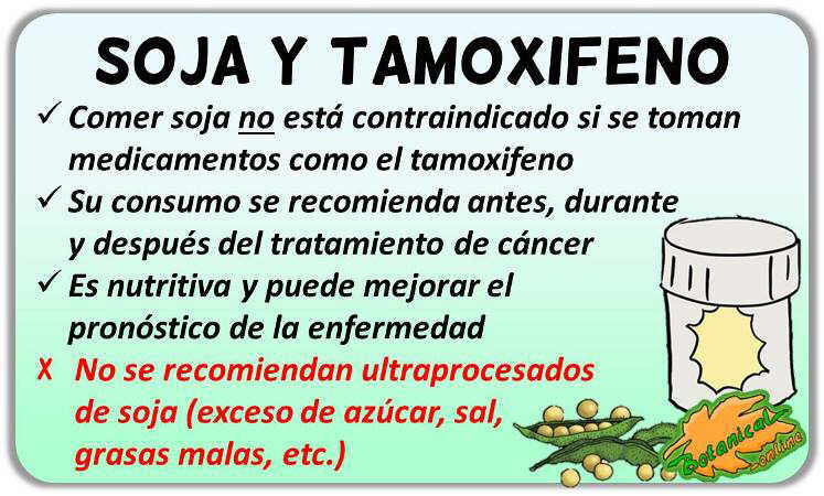 contraindicaciones peligros soja medicamentos cancer mama tamoxifeno