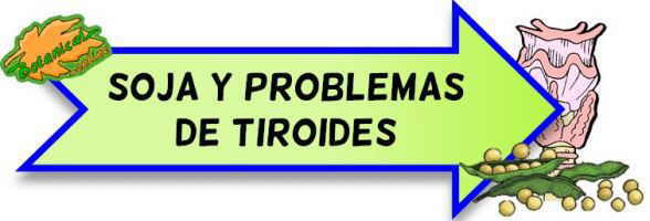 soja y problemas de tiroides