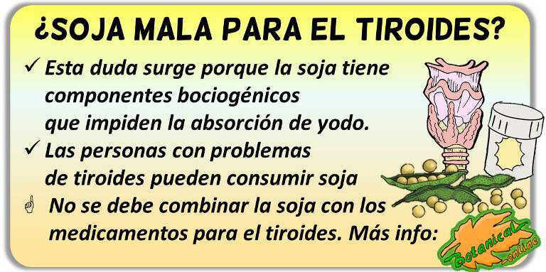 contraindicaciones de la soja y problemas de tiroides como hipotiroidismo o hipertiroidismo hashimoto