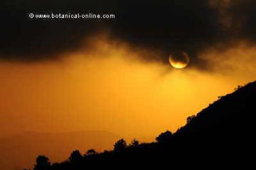 sol cubierto por nubes
