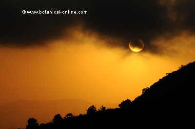 El sol produce manchas en la piel