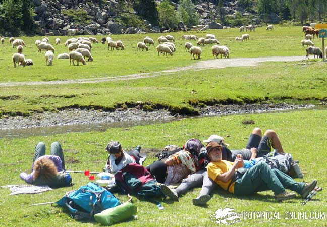 insolacion golpe de calor excursion