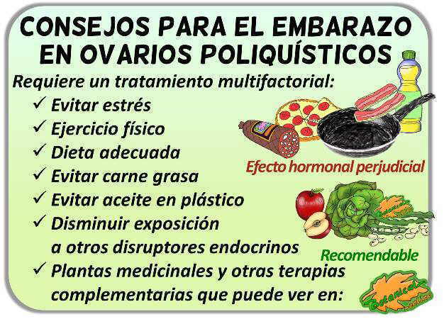 dieta fertilidad y ovarios poliquisticos sop consejos embarazo