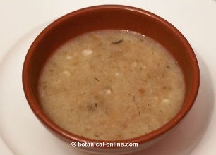 sopa de pan