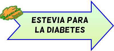 estevia diabetes