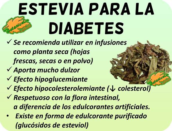 propiedades stevia para la diabetes