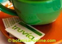 stevia