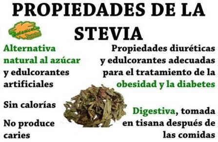 propiedades de la stevia