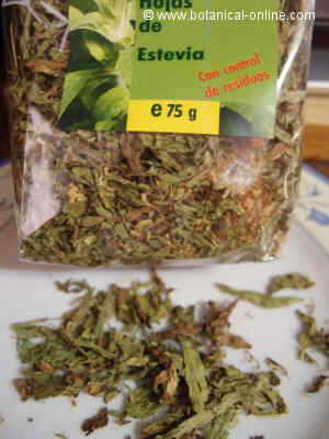 Hojas secas de stevia