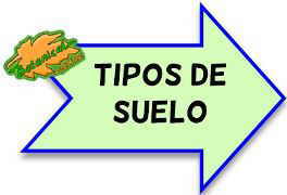 tipos de suelo