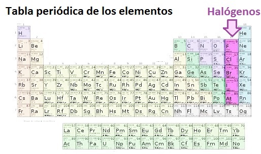 hogar sin toxicos xenobioticos