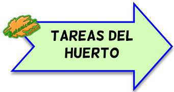 tareas del huerto