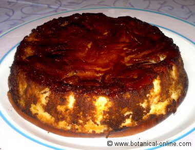 Tarta de queso