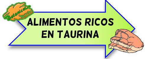 alimentos ricos en taurina