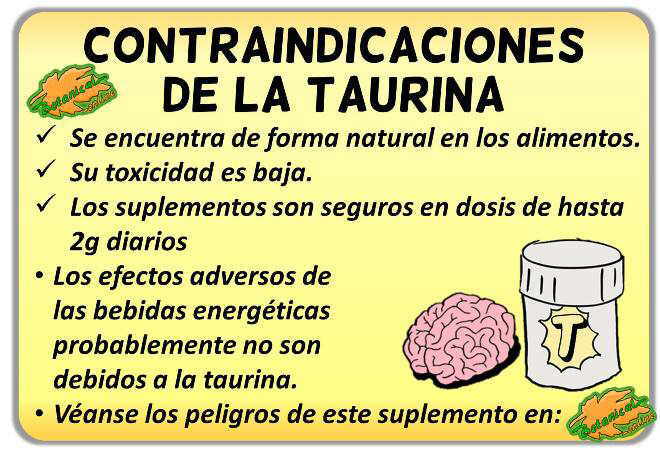 contraindicaciones y efectos adversos de la taurina