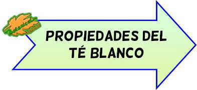 propiedades del te blanco