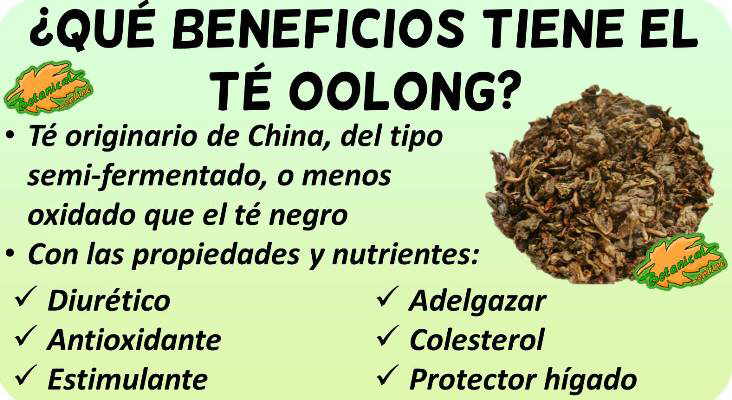 propiedades medicinales del te oolong y beneficios