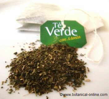 Té verde en bolsa