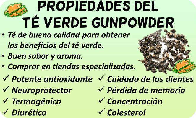 propiedades te verde gunpowder