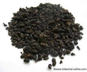 té gunpowder