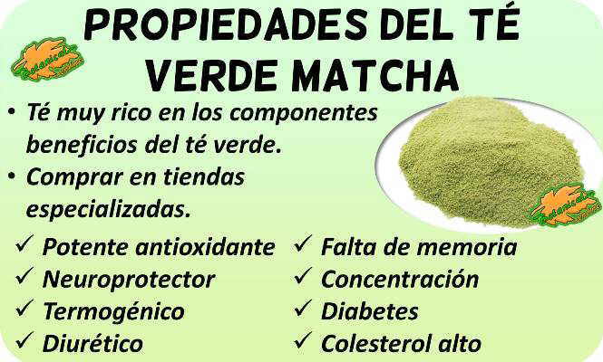 propiedades te verde matcha en polvo