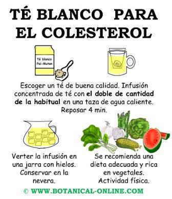 Té blanco para el colesterol