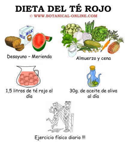 Dieta del té