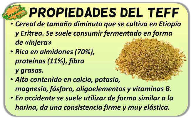 propiedades del cereal teff y sus beneficios