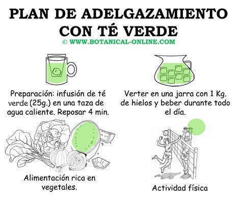 Adelgazar con té verde