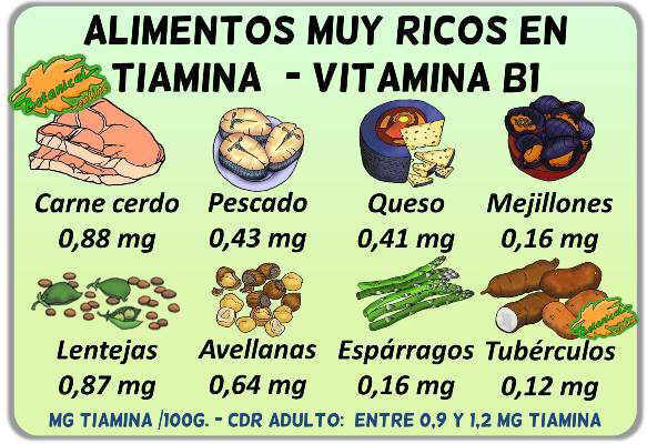 dieta alimentos ricos en tiamina vitamina b 1