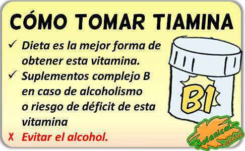 tiamina vitamina B como tomar suplementos