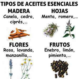 tipos de aceites esenciales