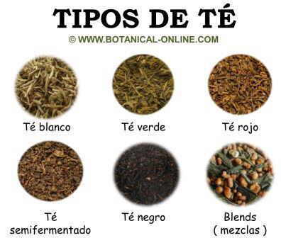 Tipos de té