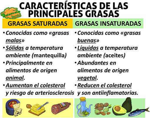 Caracteristicas principales de los diferentes tipos de grasas saturadas insaturadas y propiedades